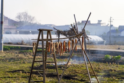 Open field with strips of meat hanging on a wooden drying rack. There's a wooden ladder positioned next to the rack. The background includes greenhouses, houses, and a faint mist in the air, suggesting early morning or late afternoon light.