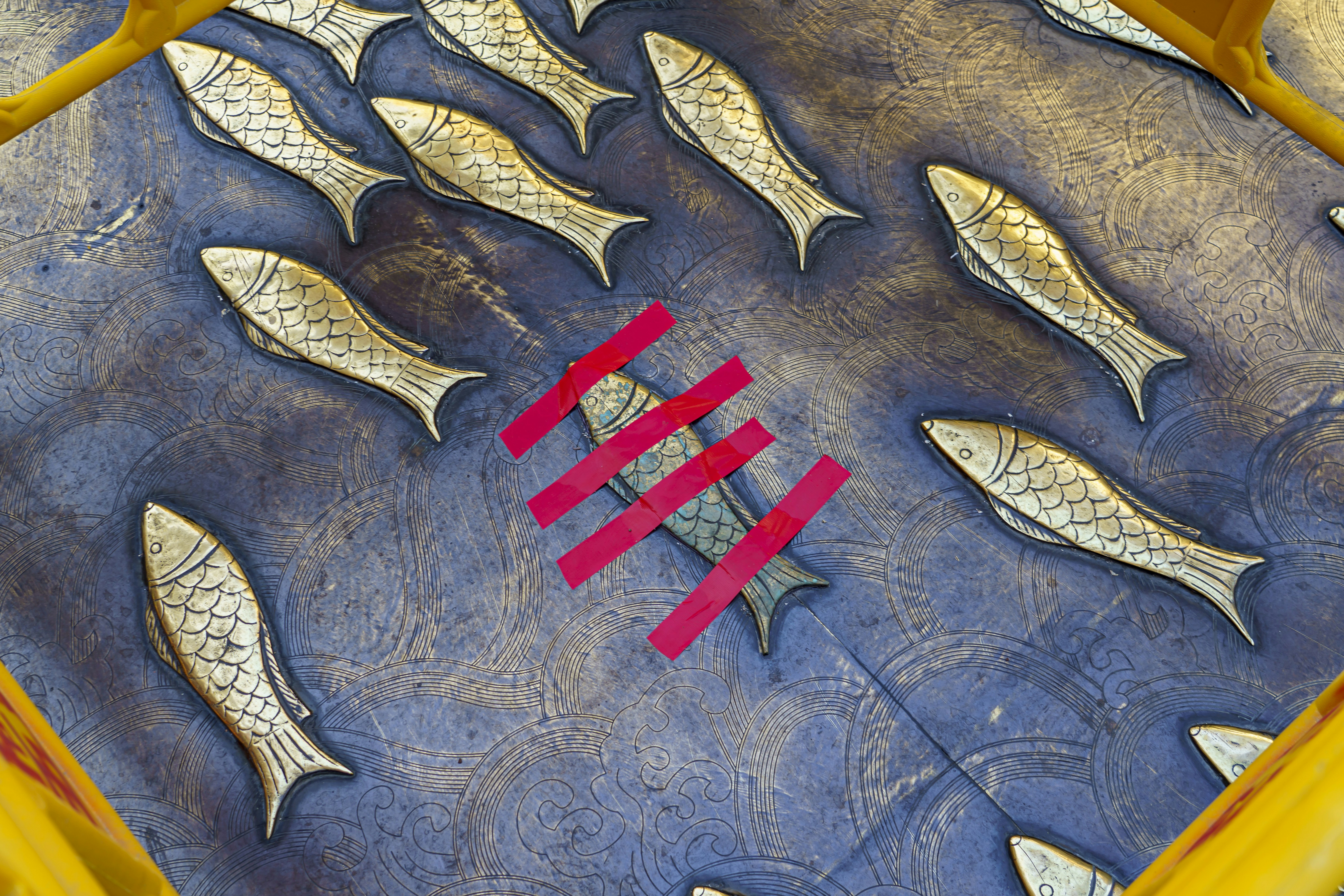 a group of gold fish sitting on top of a blue surface