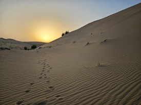 A serene desert landscape featuring sand dunes under a setting sun, with gentle shadows casting across the rippled sand. Sparse vegetation is scattered across the dunes, and a line of distinct footprints leads into the distance, creating a sense of solitude and tranquility.