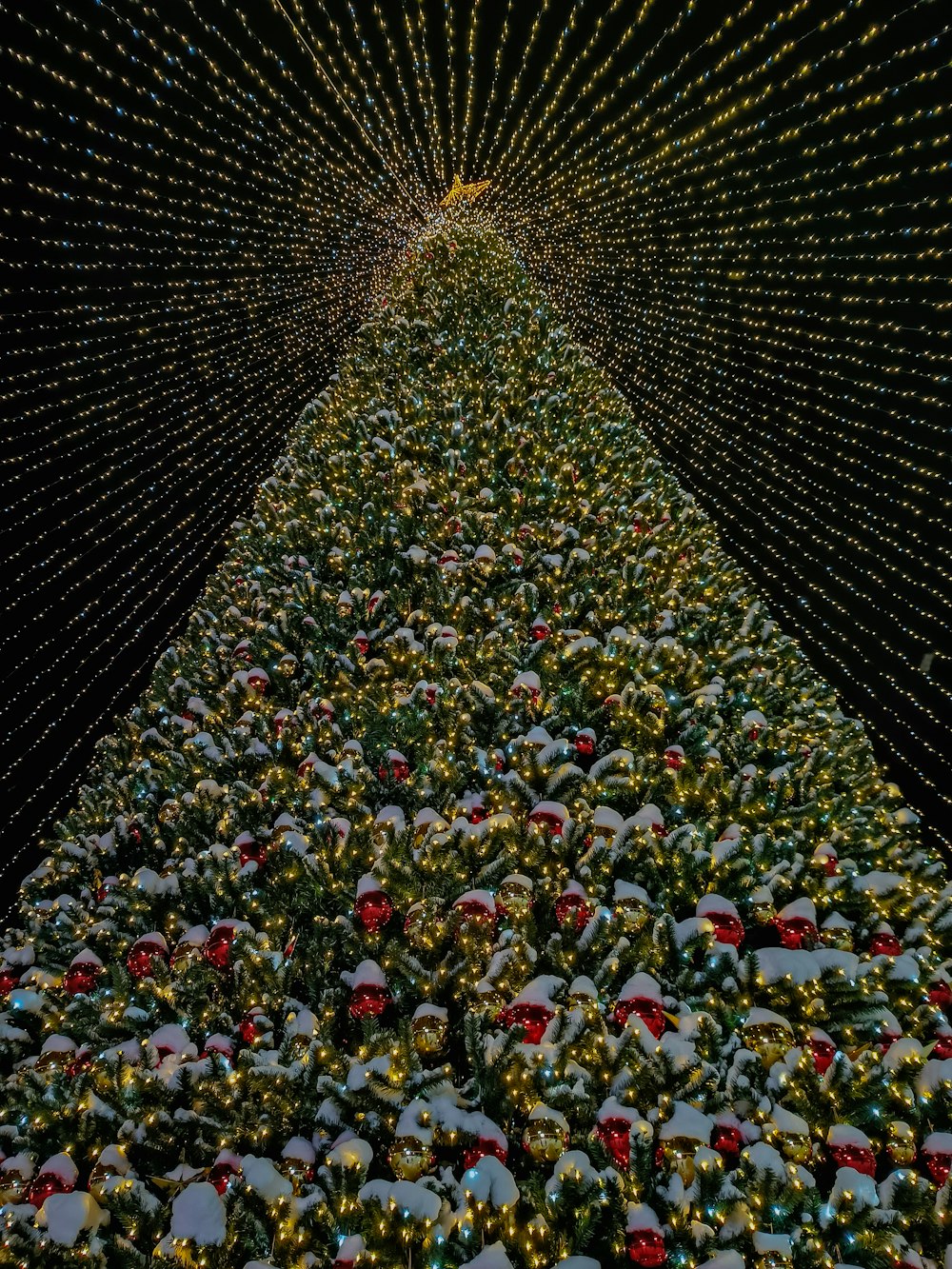 a very large christmas tree with many lights