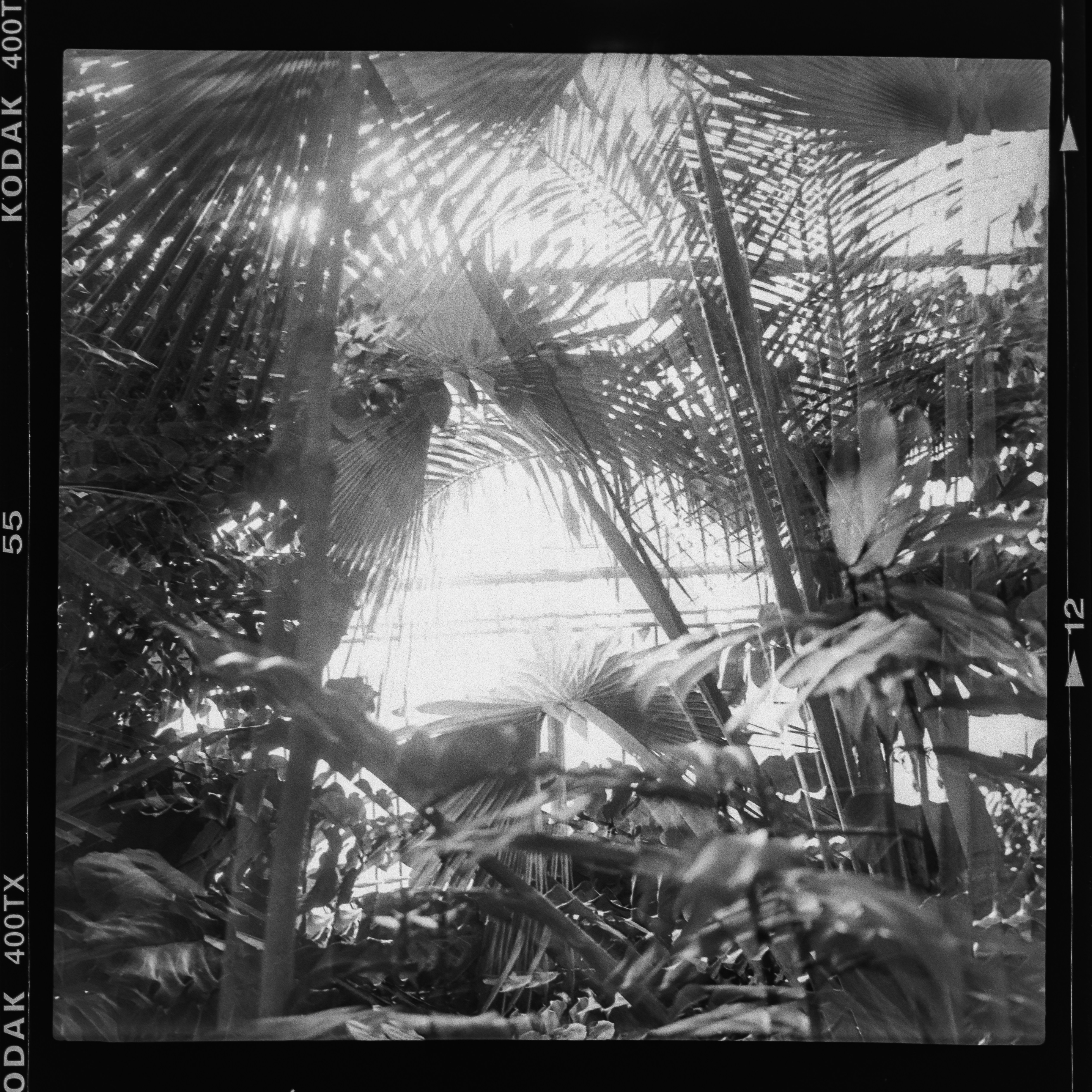 Photo by anniespratt