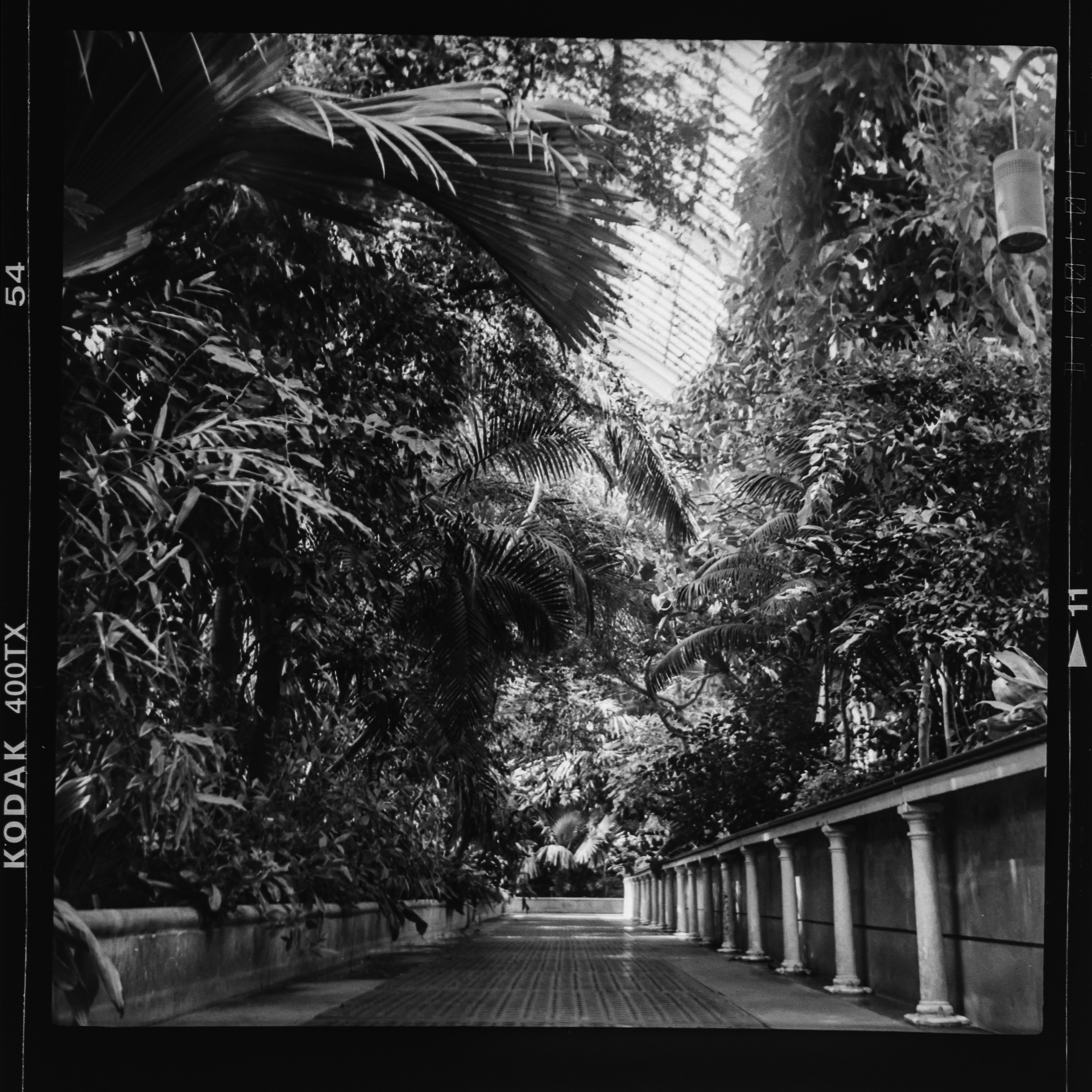 Photo by anniespratt