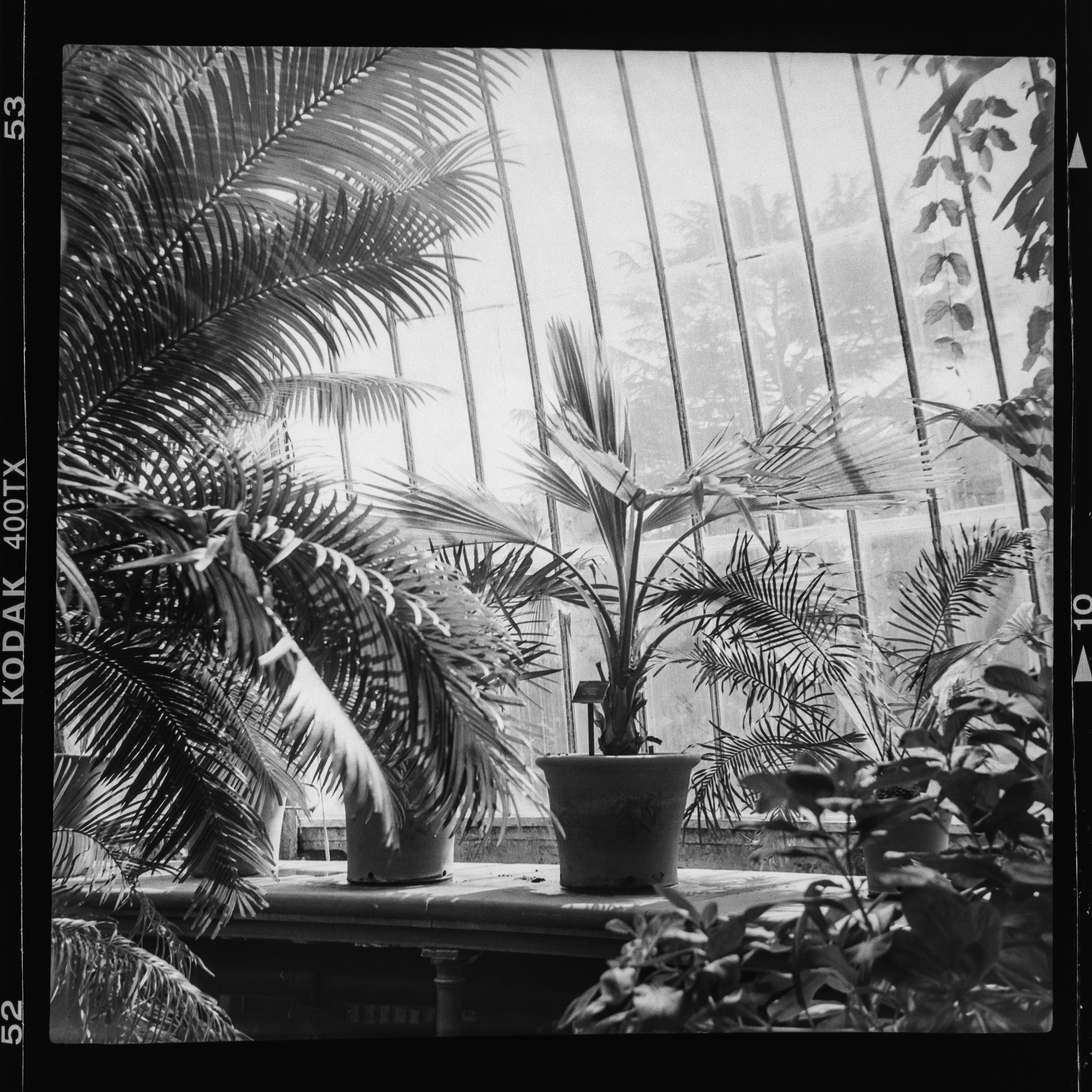 Photo by anniespratt