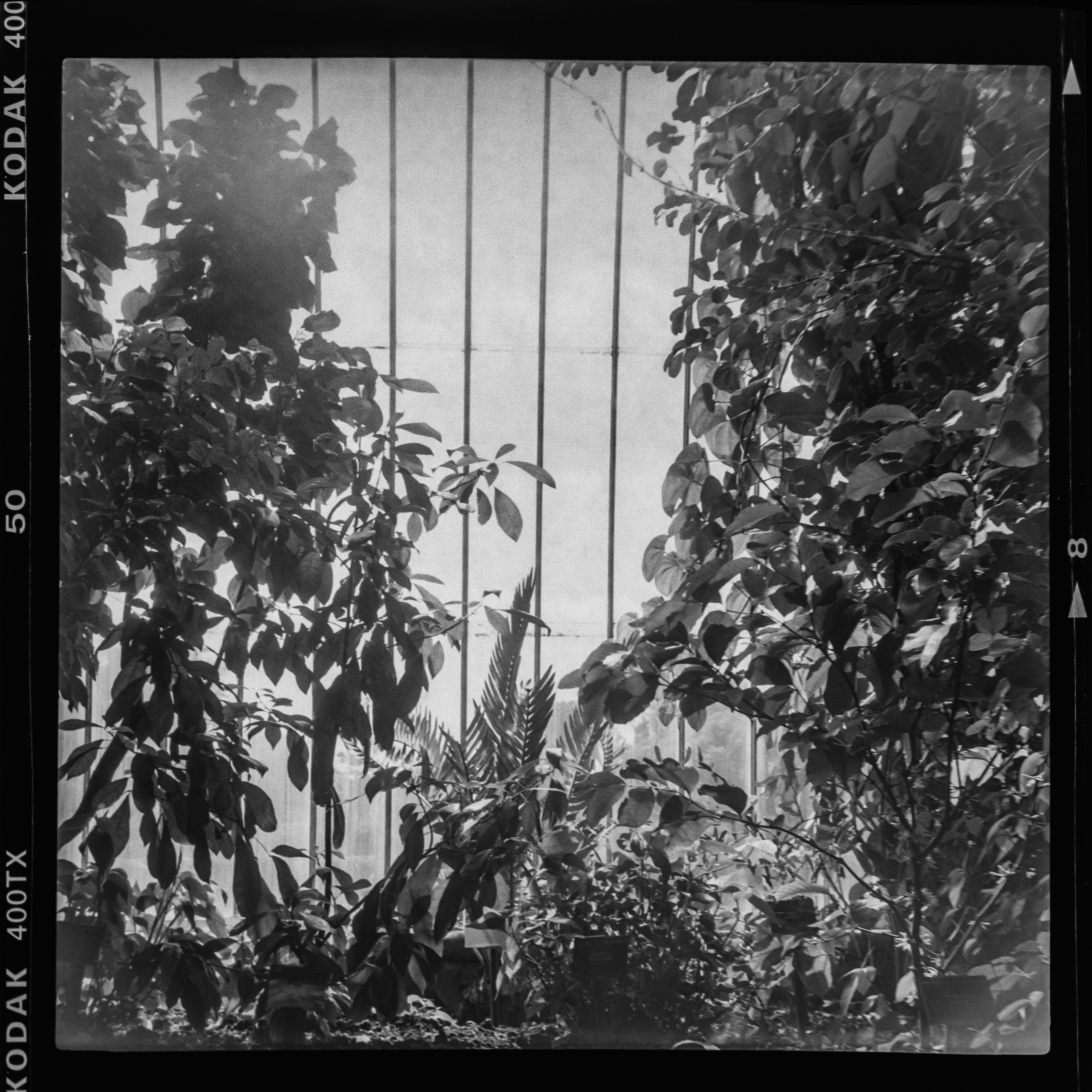 Photo by anniespratt