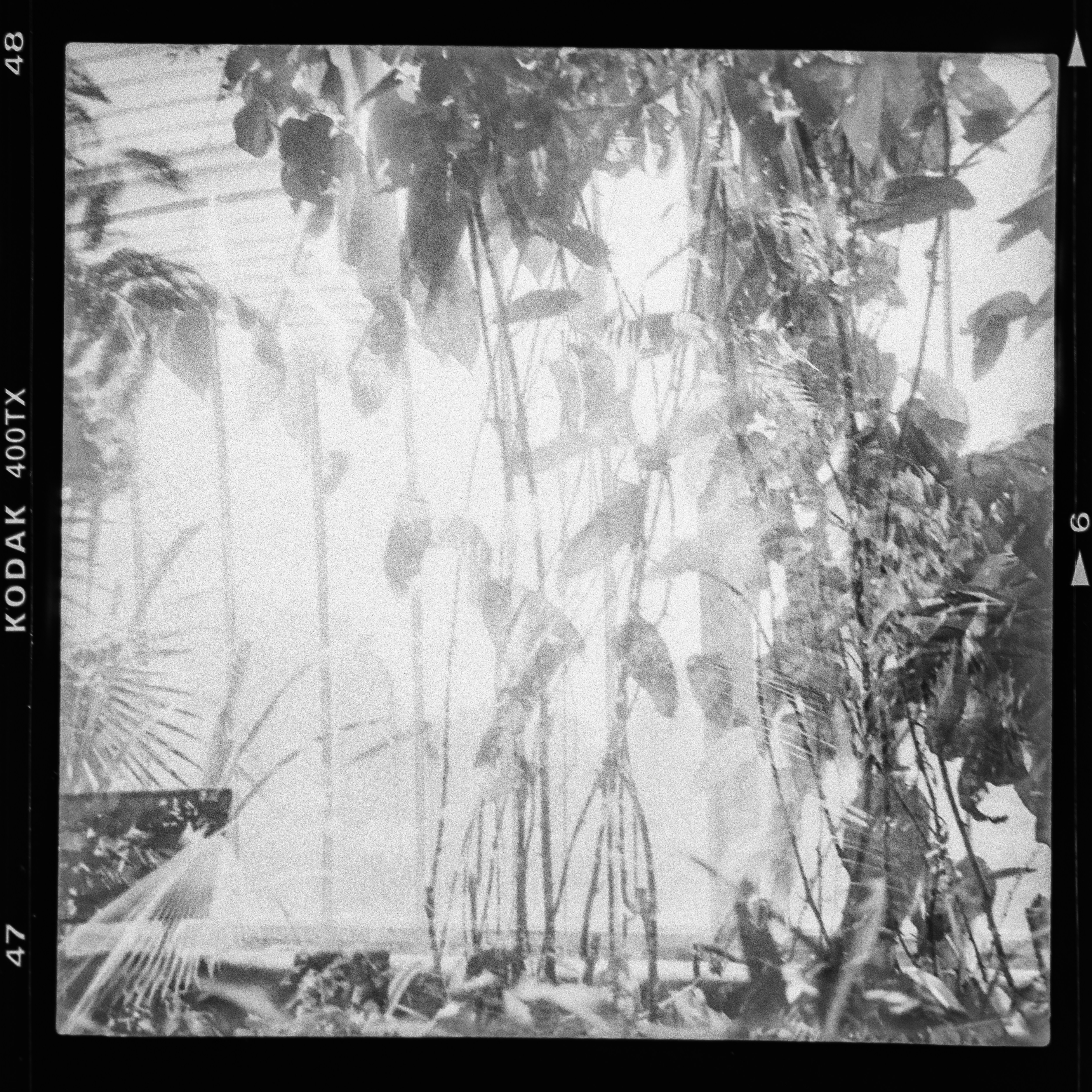 Photo by anniespratt