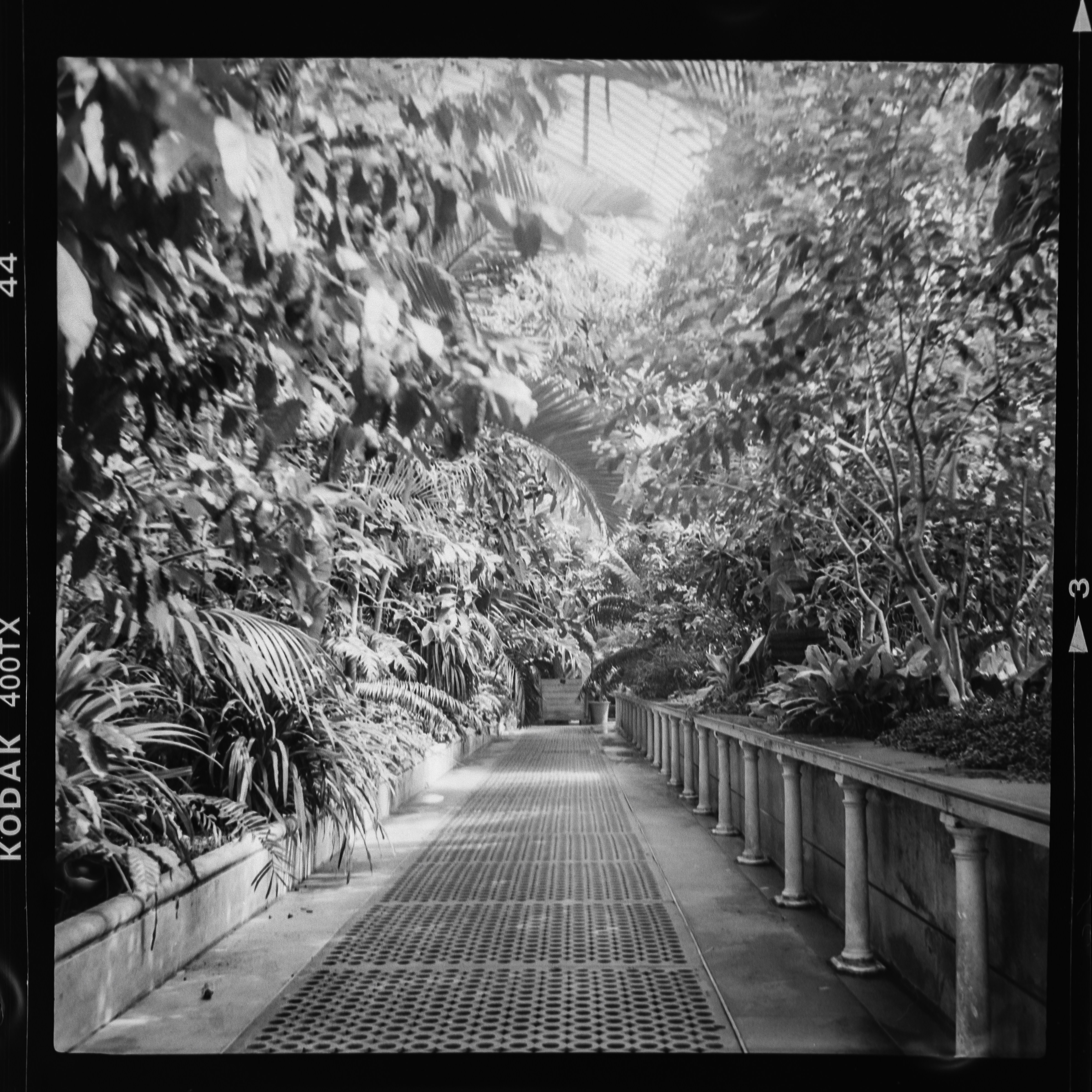 Photo by anniespratt