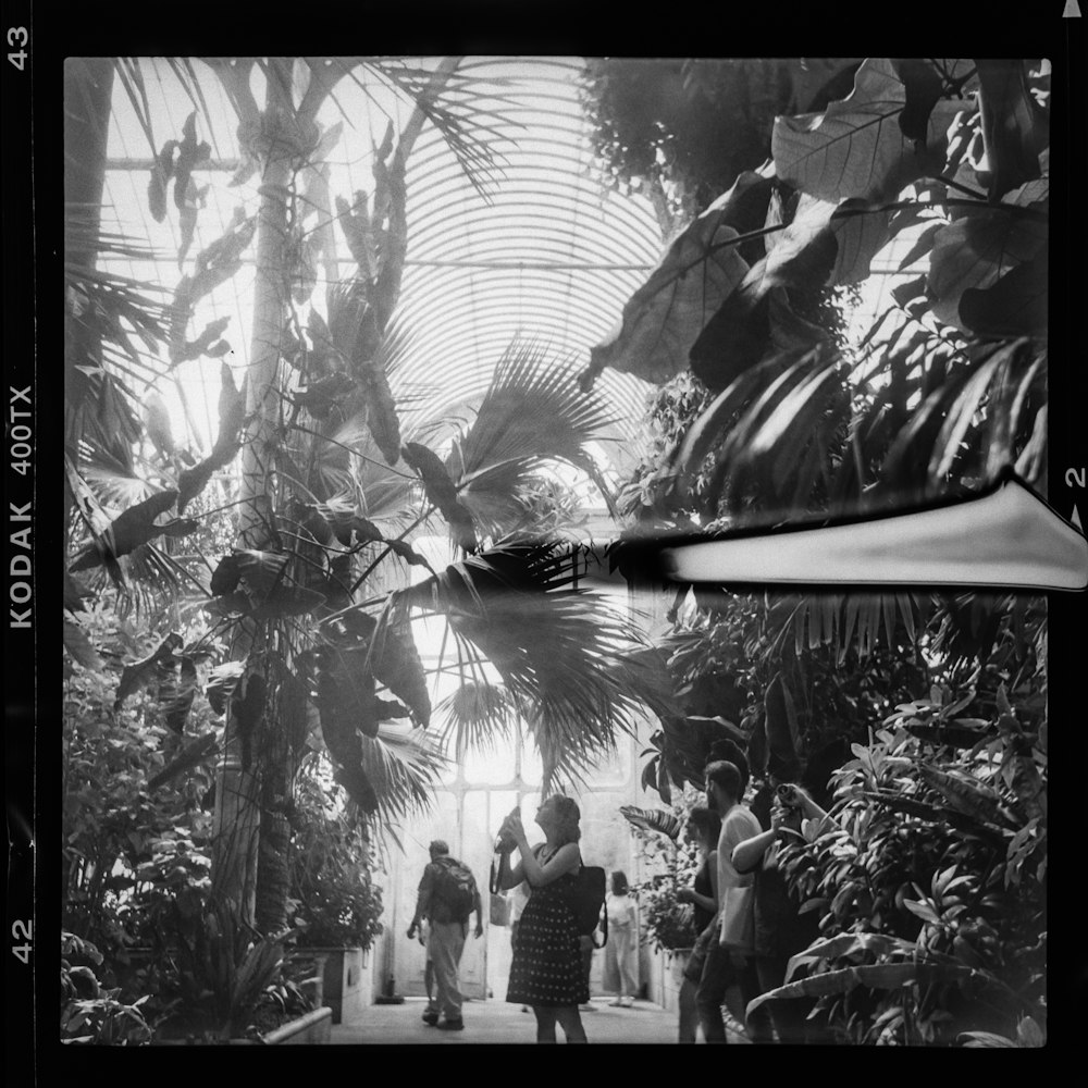 a black and white photo of people in a greenhouse