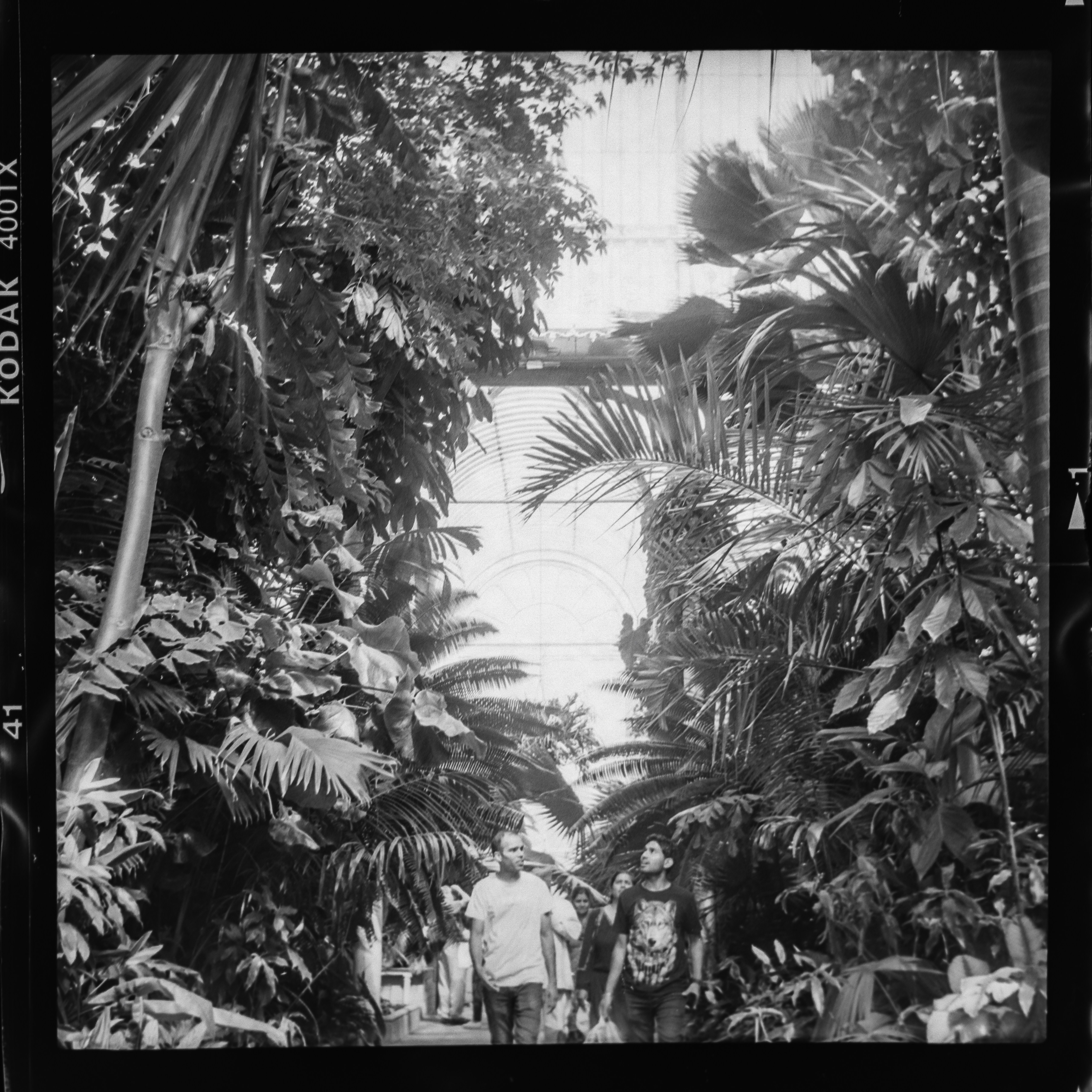 Photo by anniespratt