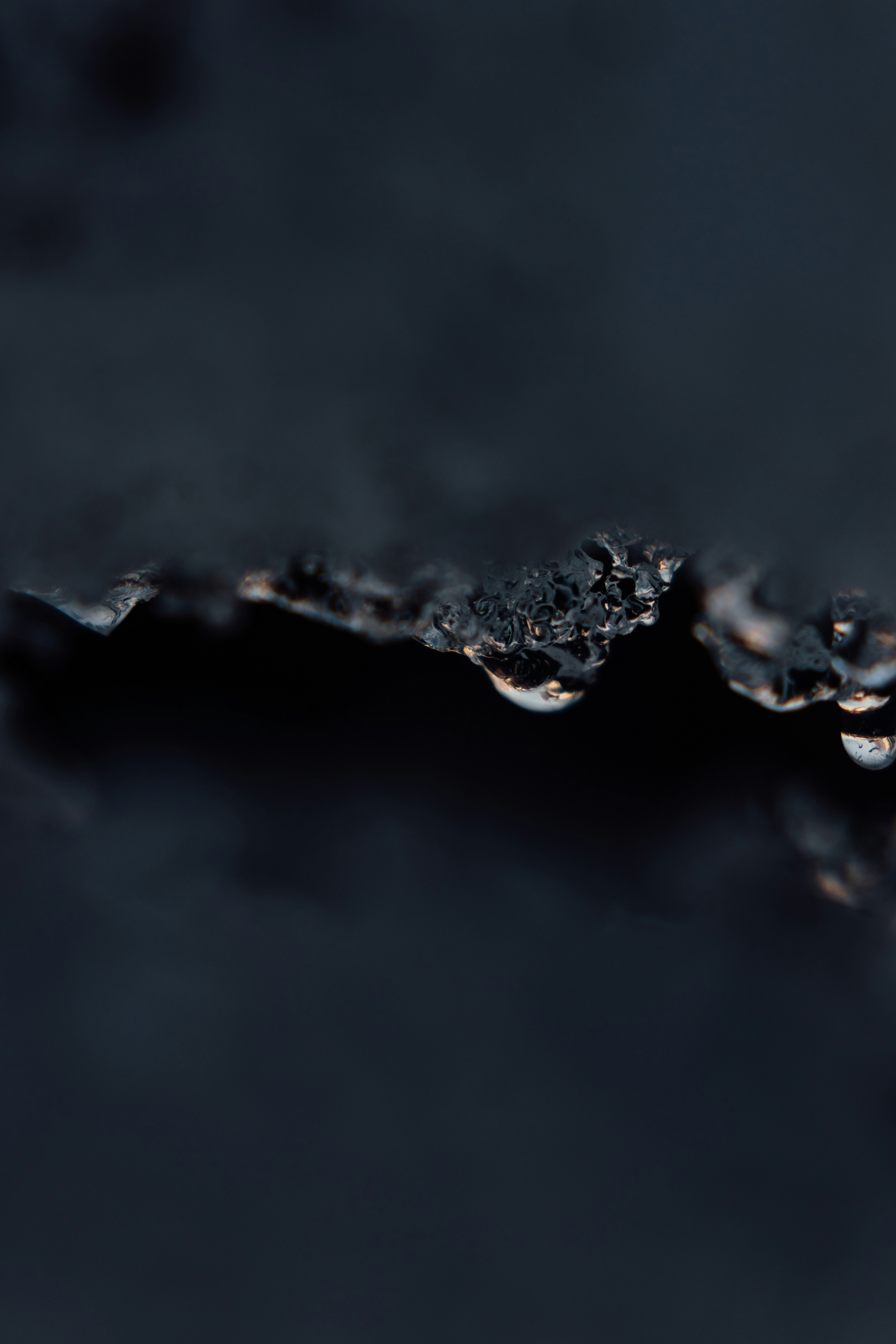 A close up of water droplets on a black surface photo – Free Black ...