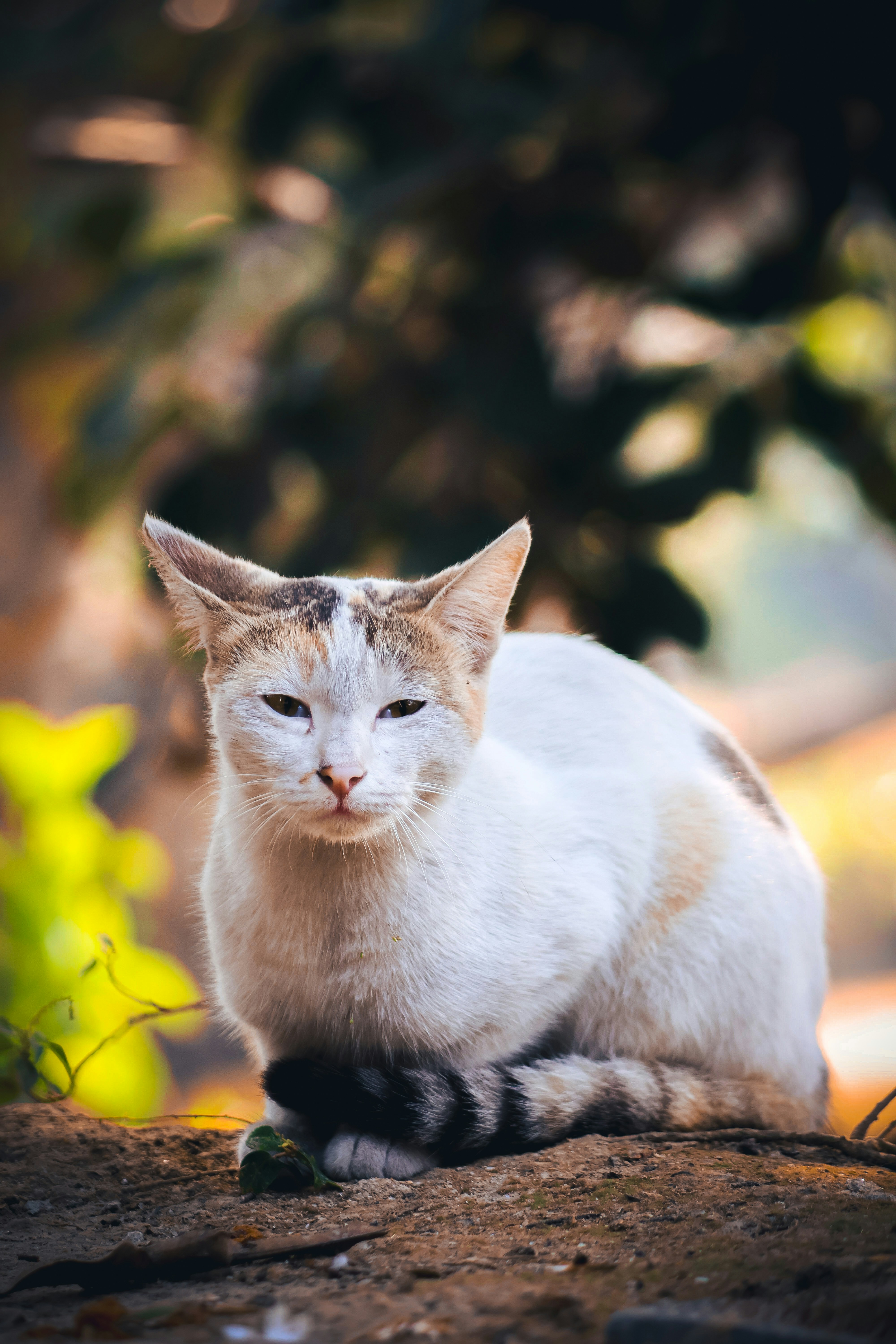 Photo by rudra123unspalsh