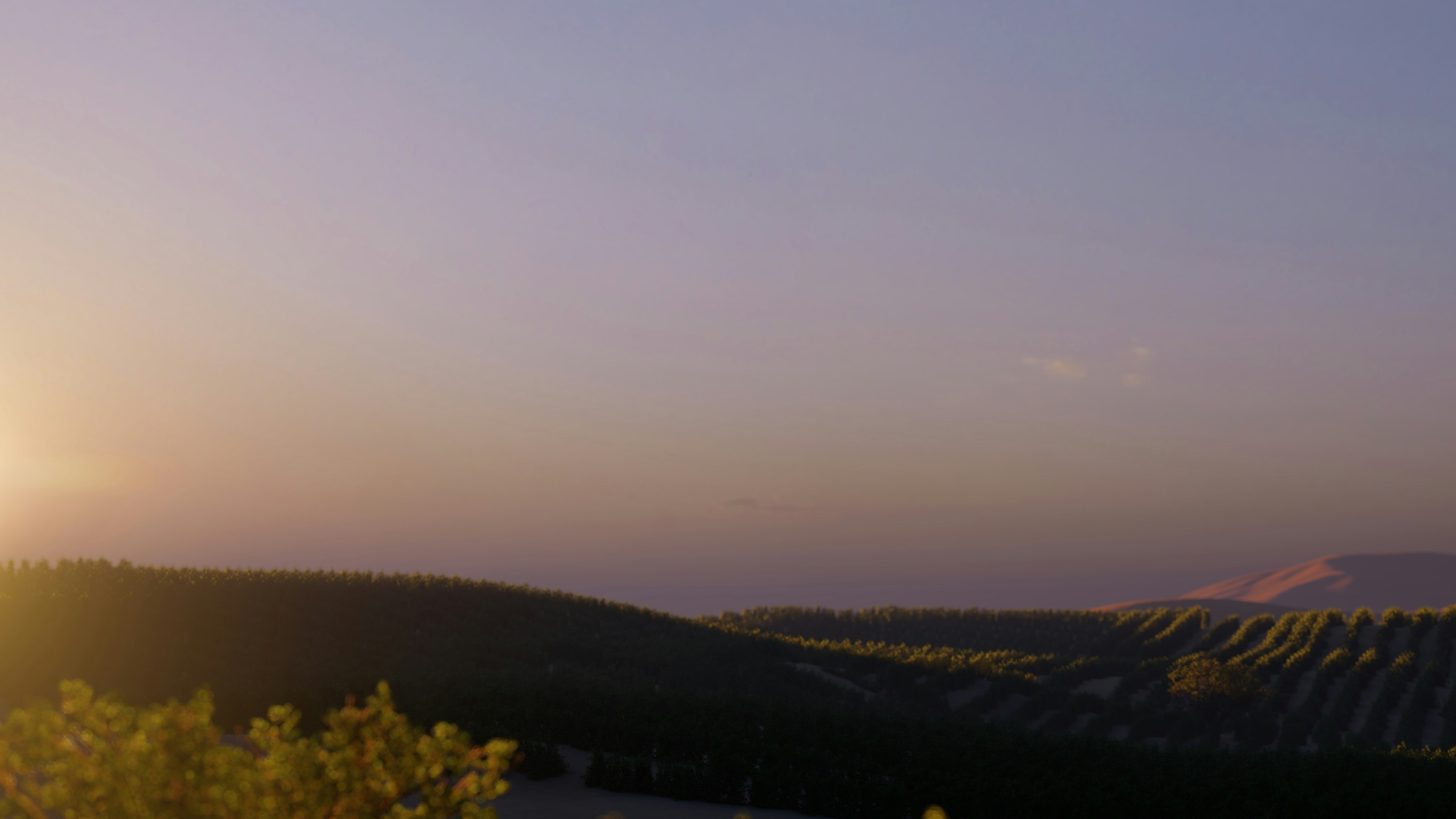 Photo by shotoftheday