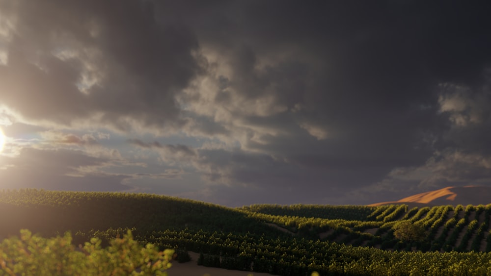 the sun shines through the clouds over a vineyard