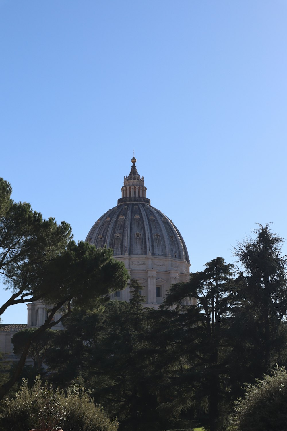 the dome of a building with trees in the foreground