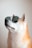 A Shiba Inu dog is wearing a pair of stylish, dark sunglasses, gazing upwards with a relaxed but confident expression. The dog has a coat of white and orange fur, and the background is a soft, neutral color.