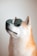 A Shiba Inu dog is wearing a pair of stylish, dark sunglasses, gazing upwards with a relaxed but confident expression. The dog has a coat of white and orange fur, and the background is a soft, neutral color.