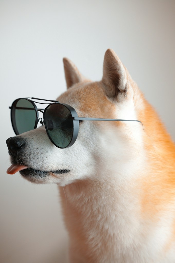 Golden Glam Sonnenbrille