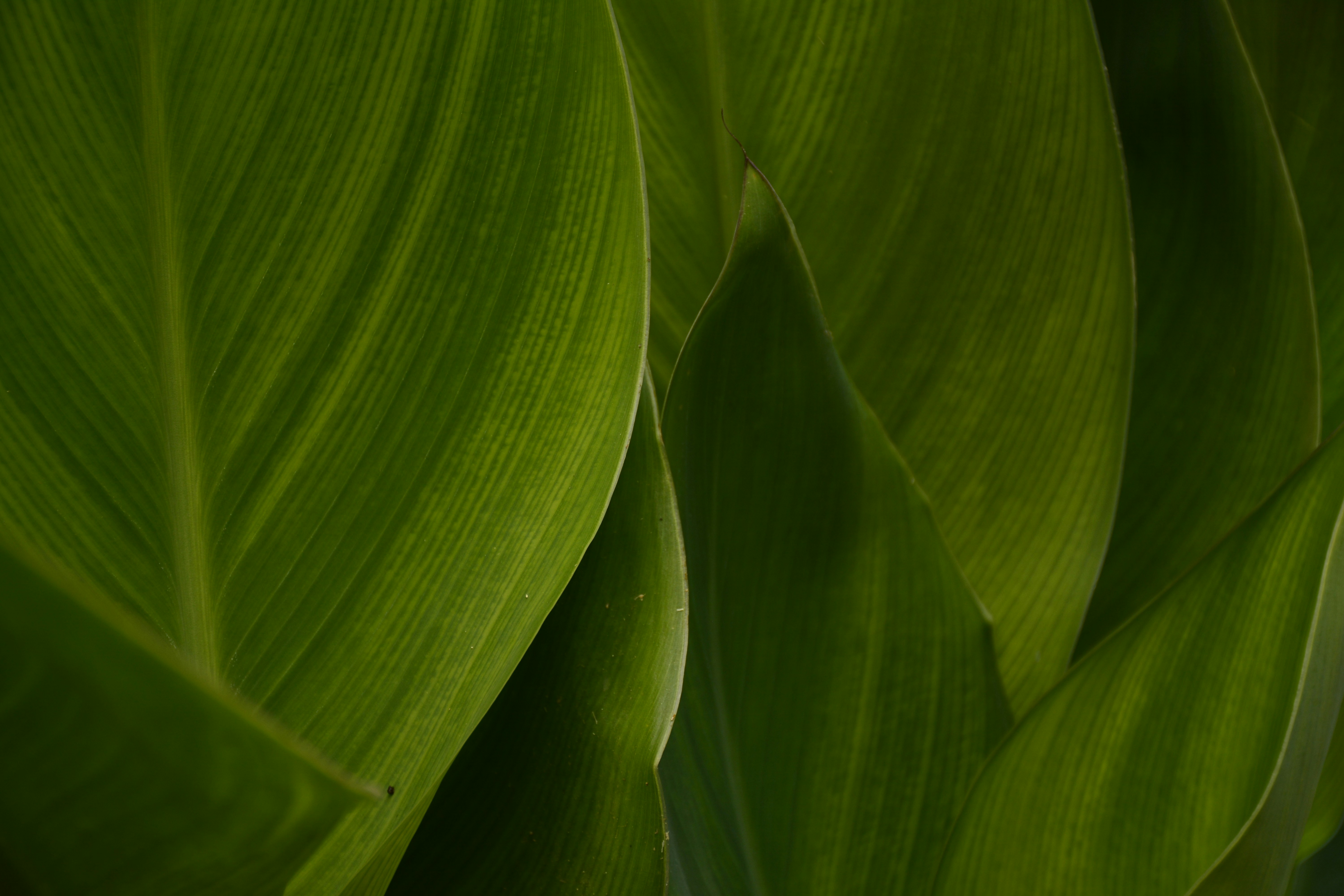 Photo by designstrive