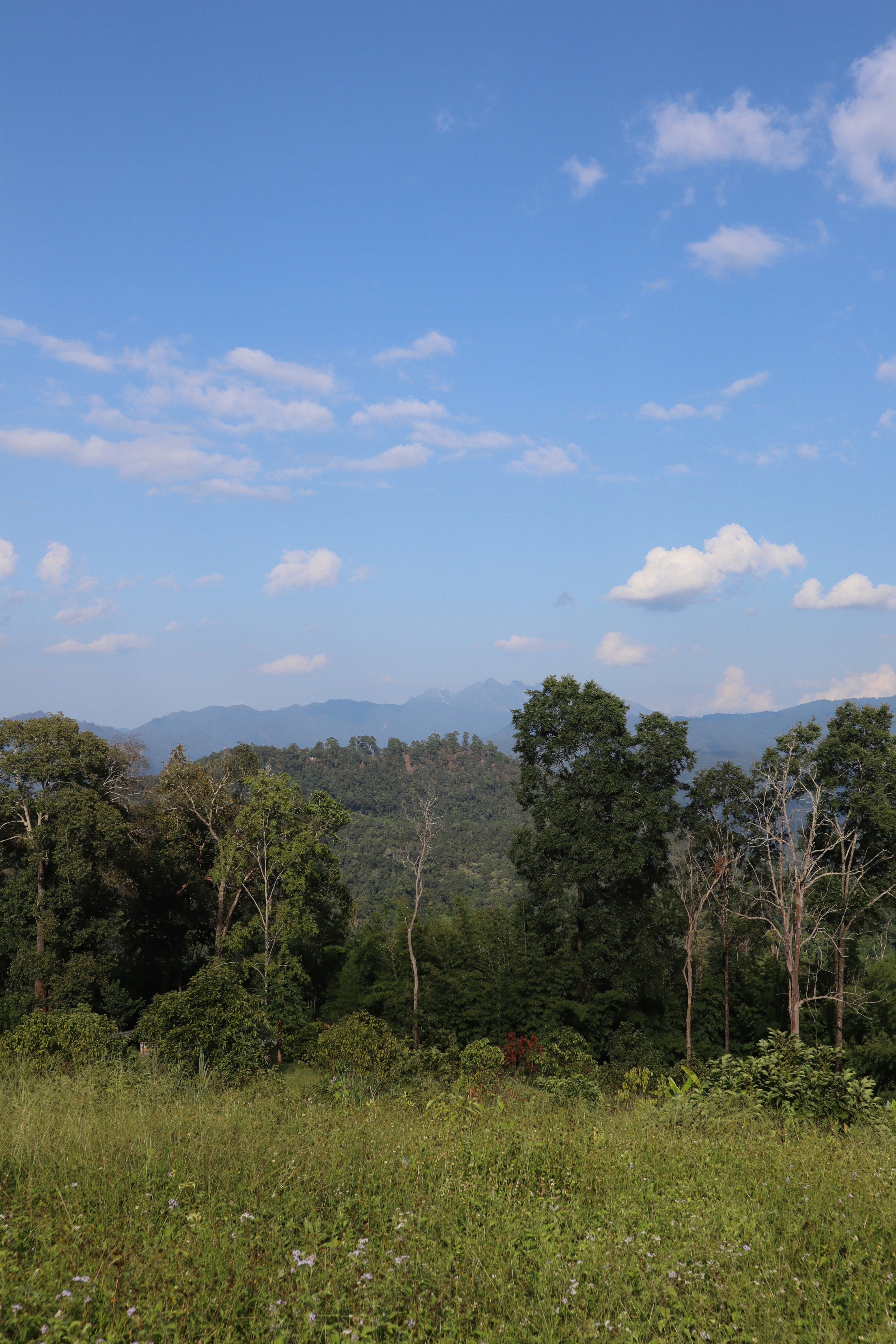 Photo by hollyjstandring