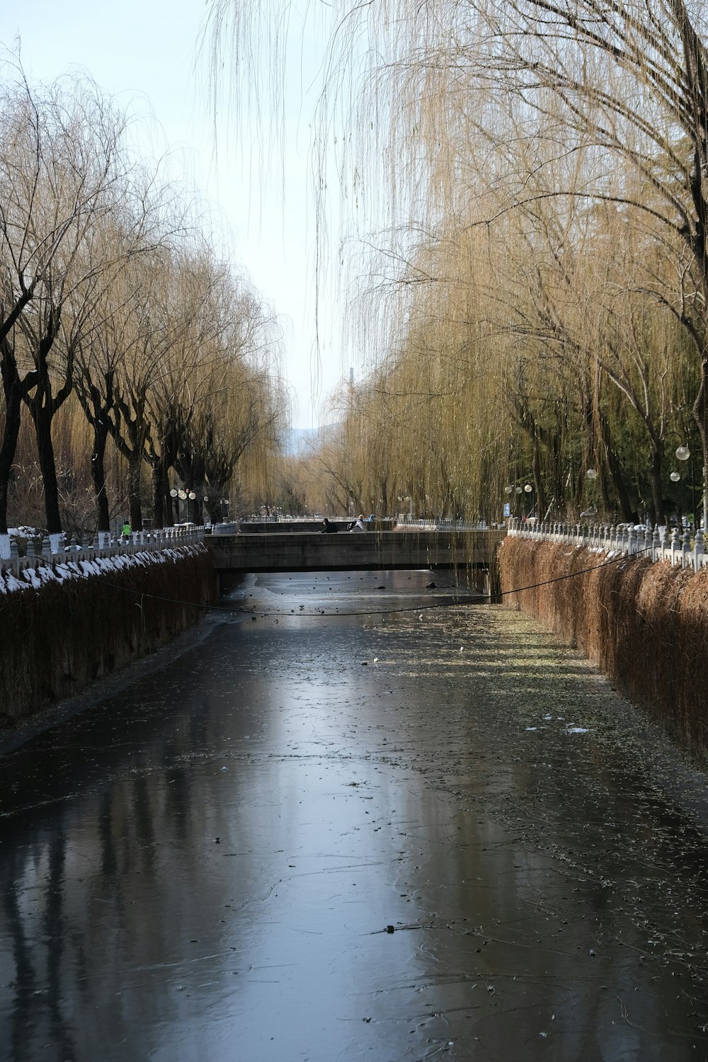 a canal with ice on the water surrounded by trees