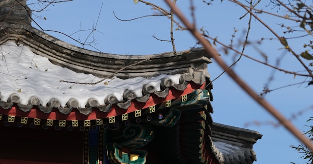 صورة: منحة الحكومة الصينية CSC (Chinese Government Scholarship) – الصين