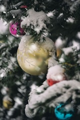 Close-up of colorful, eco-friendly Christmas ornaments hanging on a tree branch dusted with snow.