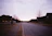 A quiet suburban street at dusk with calm dogs playing in yards.