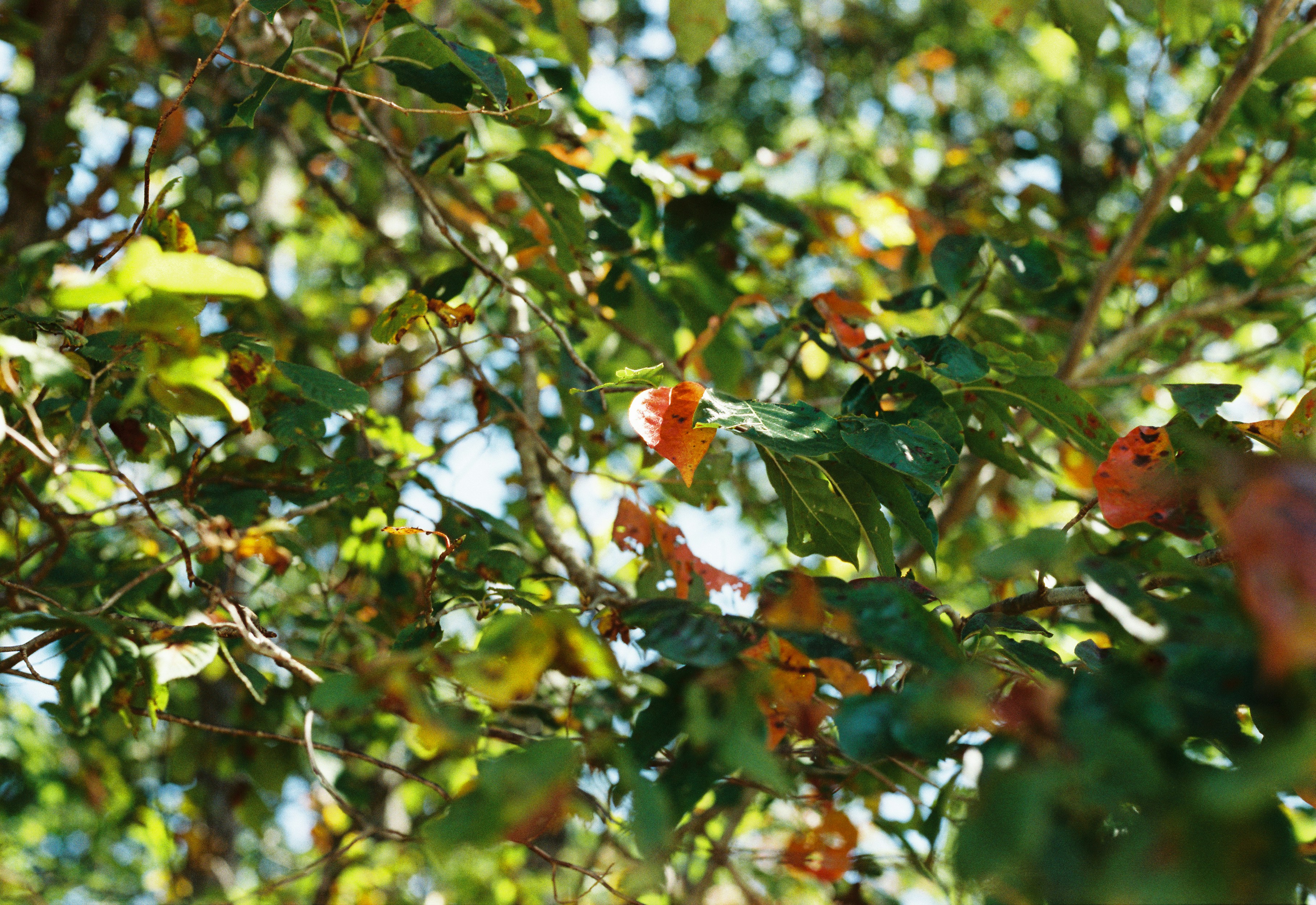 Photo by itscameracole_