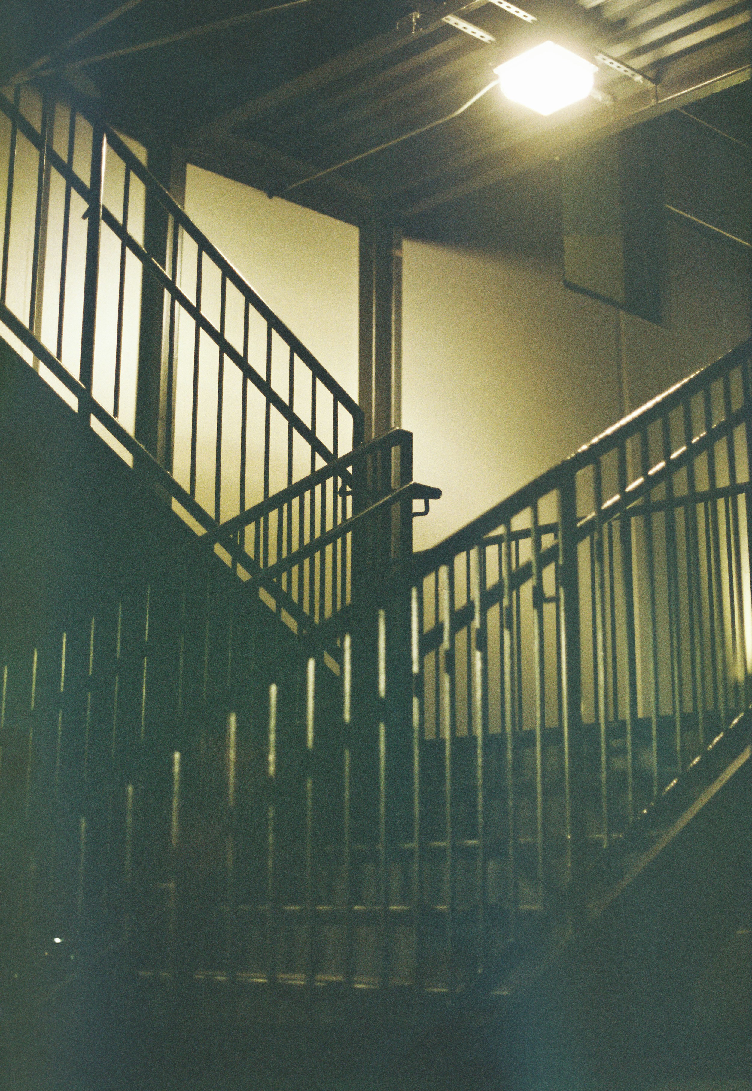 Photo by itscameracole_