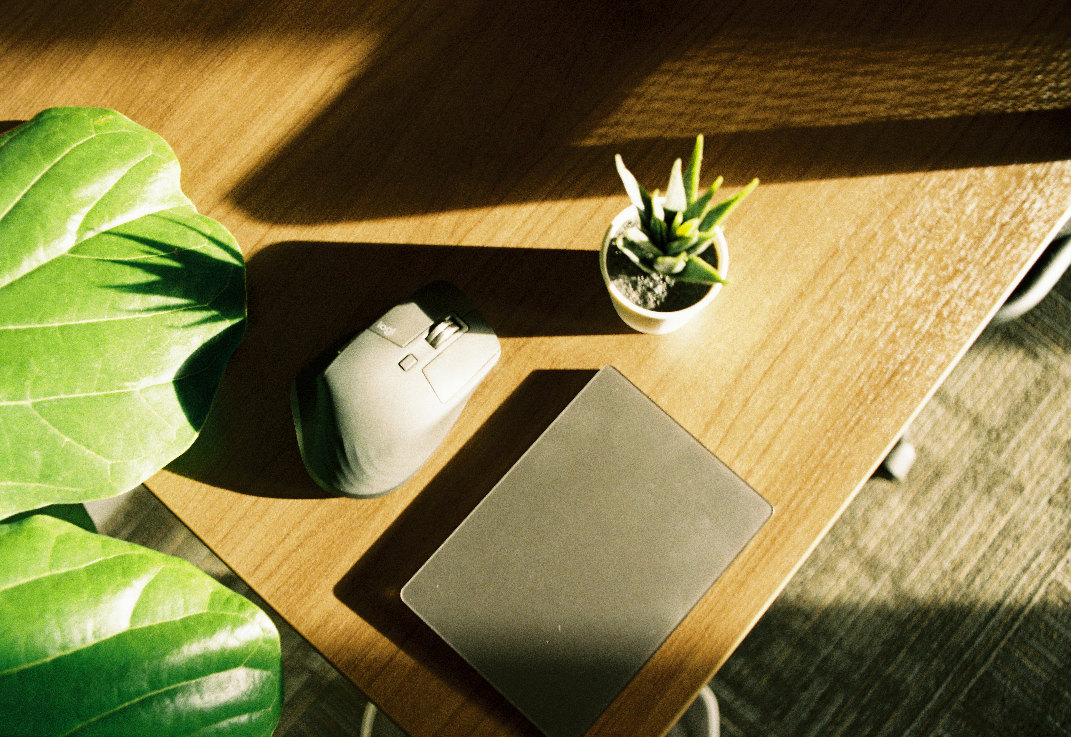 Photo by itscameracole_