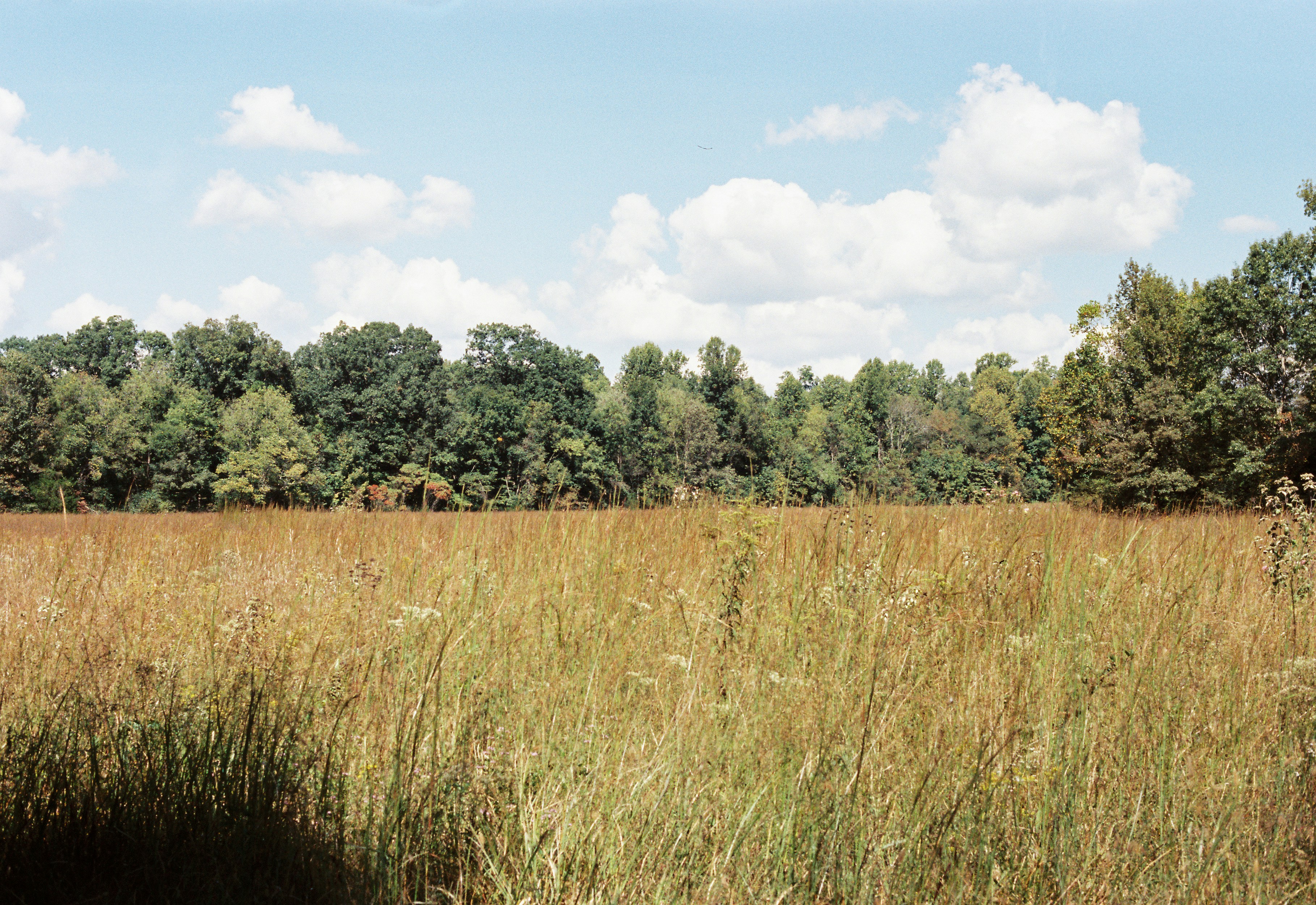 Photo by itscameracole_