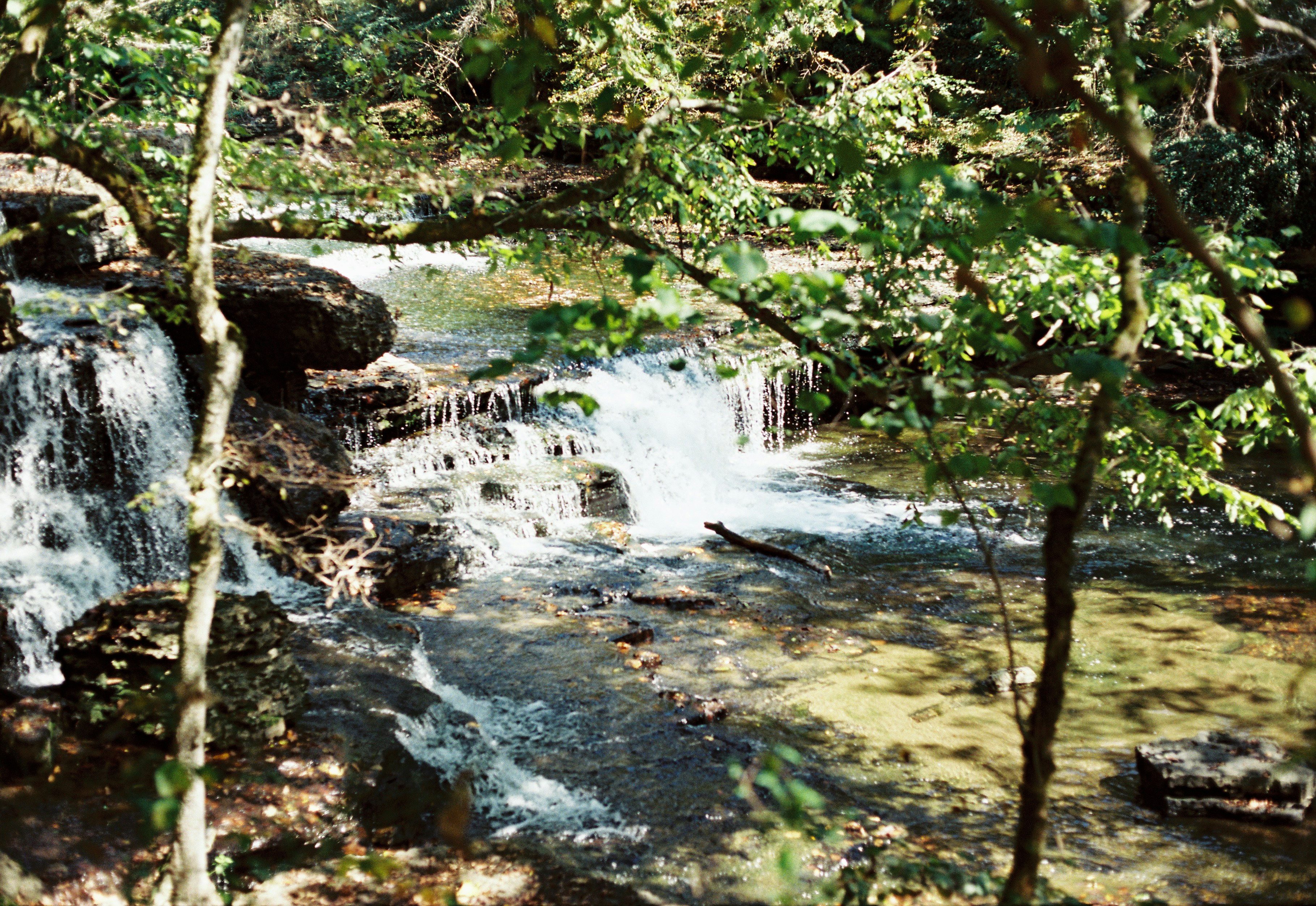 Photo by itscameracole_