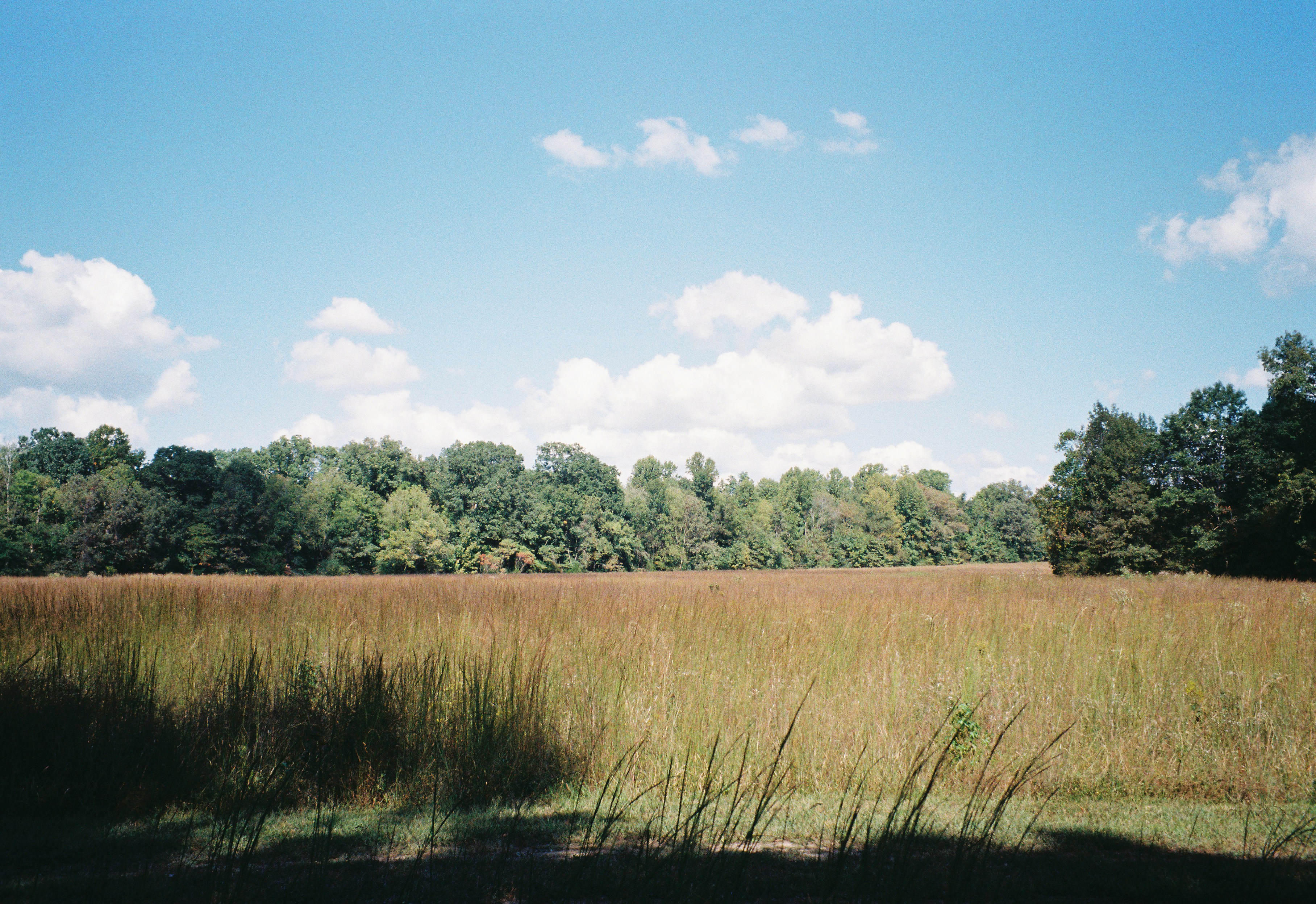 Photo by itscameracole_