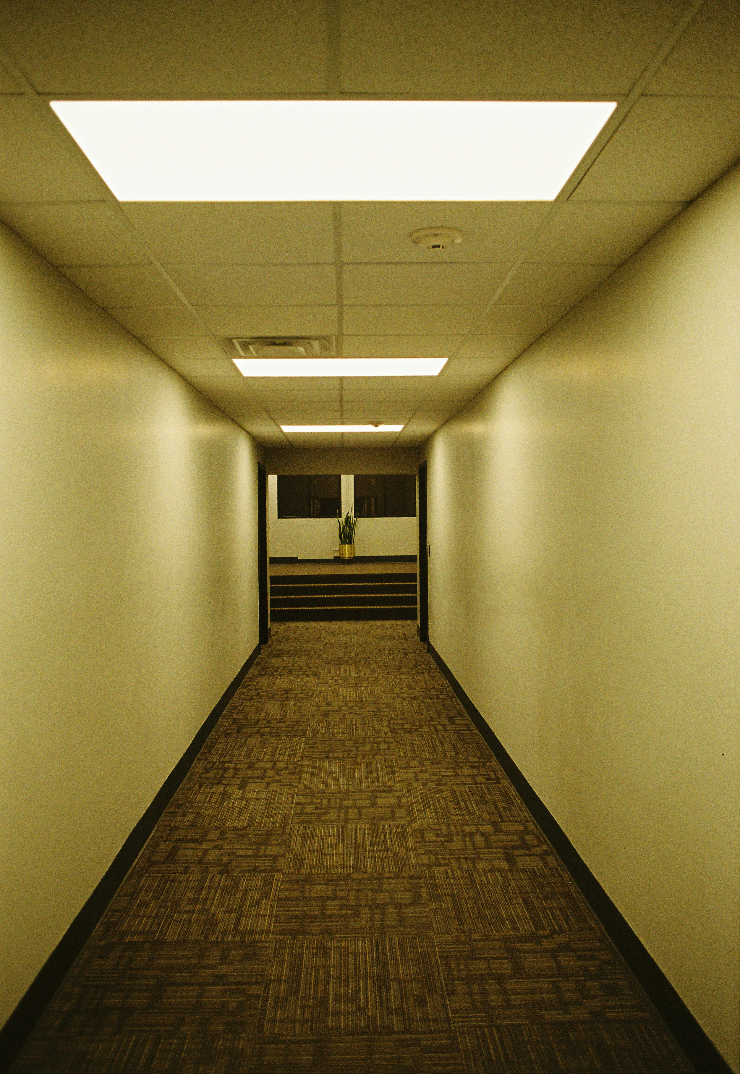 photo-1703962169705-d1f3d89259a0?w=2000&auto=format&fit=crop&q=60&ixlib=rb-4.1.0&ixid=M3wxMjA3fDB8MHxzZWFyY2h8NHx8JUU4JUI1JUIwJUU1JUJCJThBfGVufDB8fDB8fHww