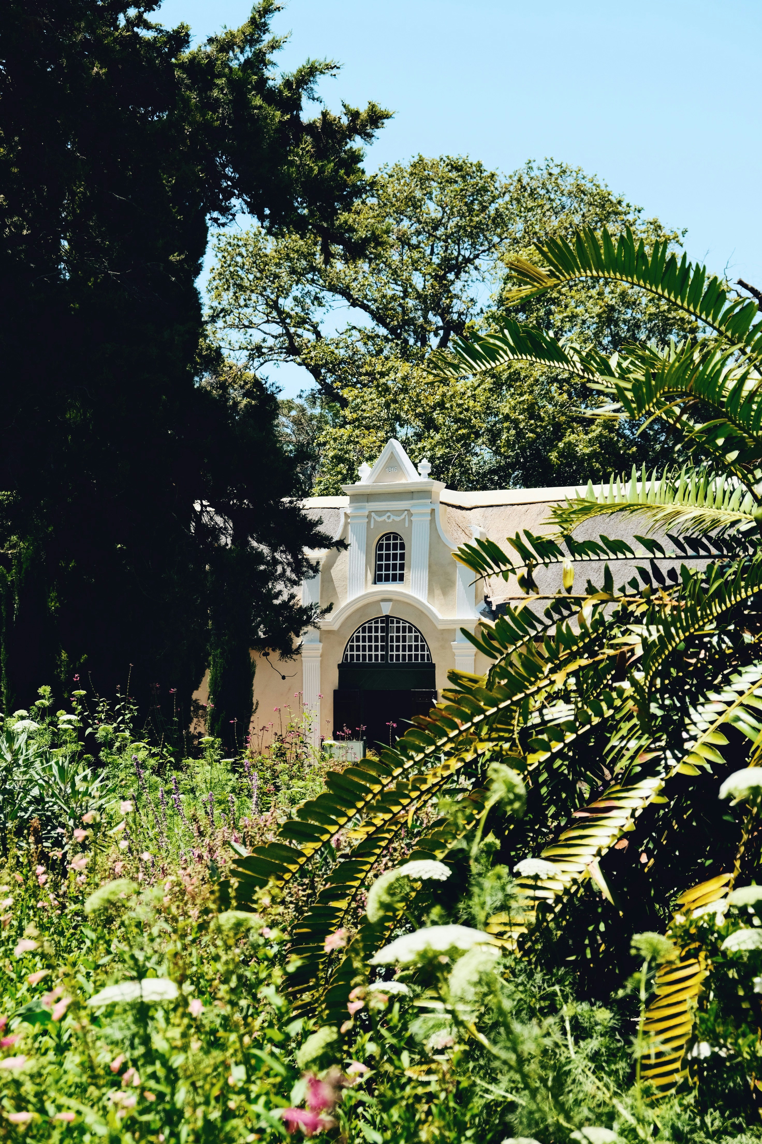 Photo by weylandswart