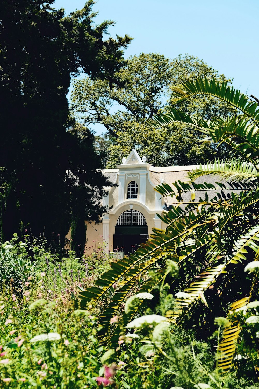 a white building surrounded by trees and plants