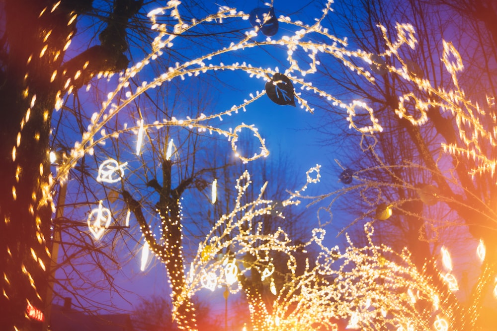 a bunch of lights that are on a tree