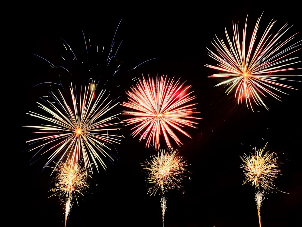 a bunch of fireworks are lit up in the night sky