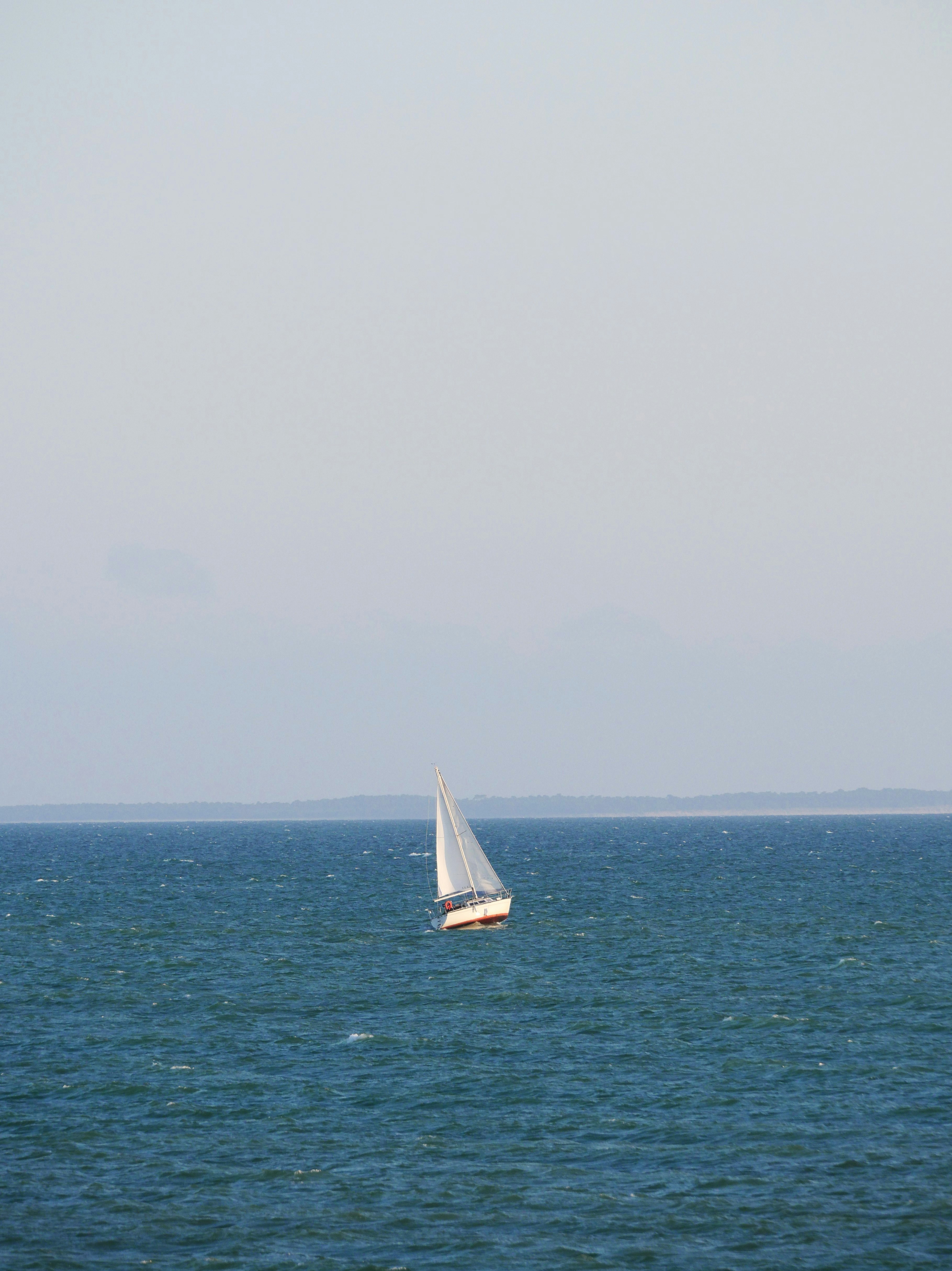 Photo by nimbus_vulpis