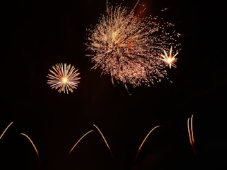 Several bright fireworks explode against a dark sky, with bursts of orange and red creating intricate patterns. Smaller fireworks can be seen in the foreground with trails leading up to the explosions.