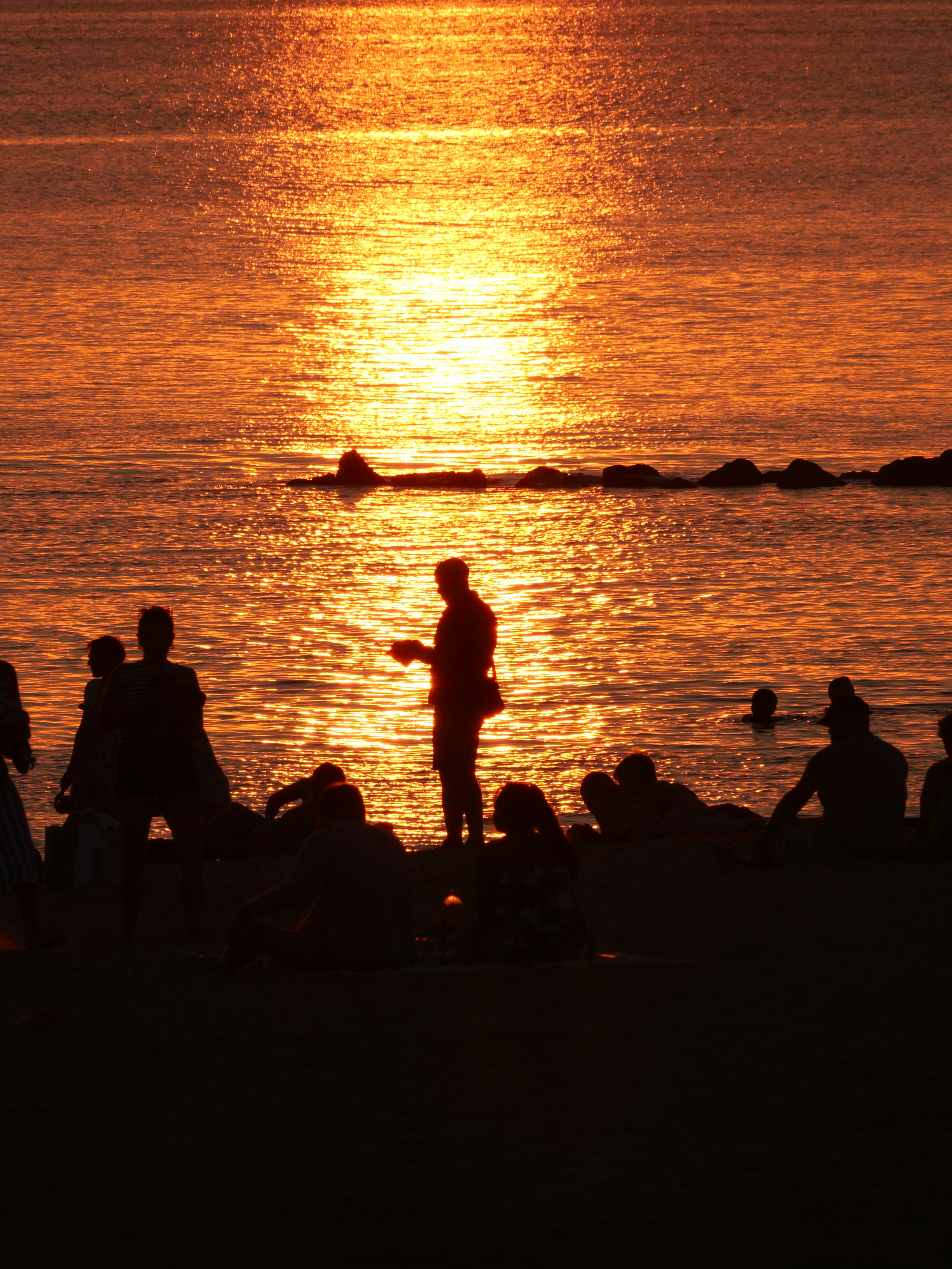 Photo by nimbus_vulpis