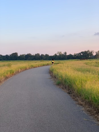 A cyclist riding along a winding path through vibrant green fields under a clear blue sky.