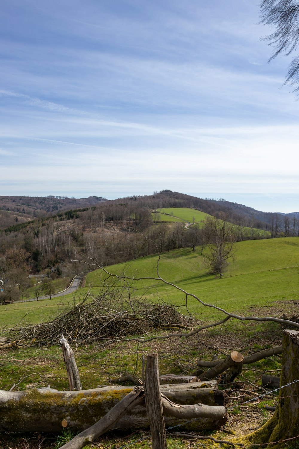 a view of a lush green hillside from a distance