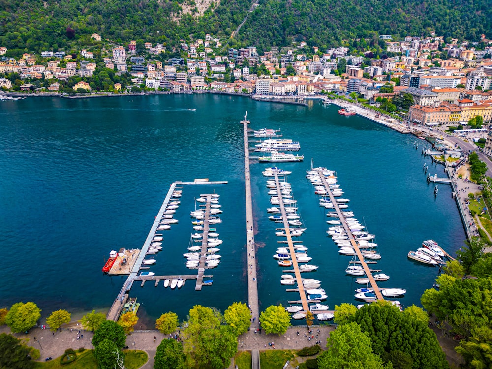 a large body of water filled with lots of boats