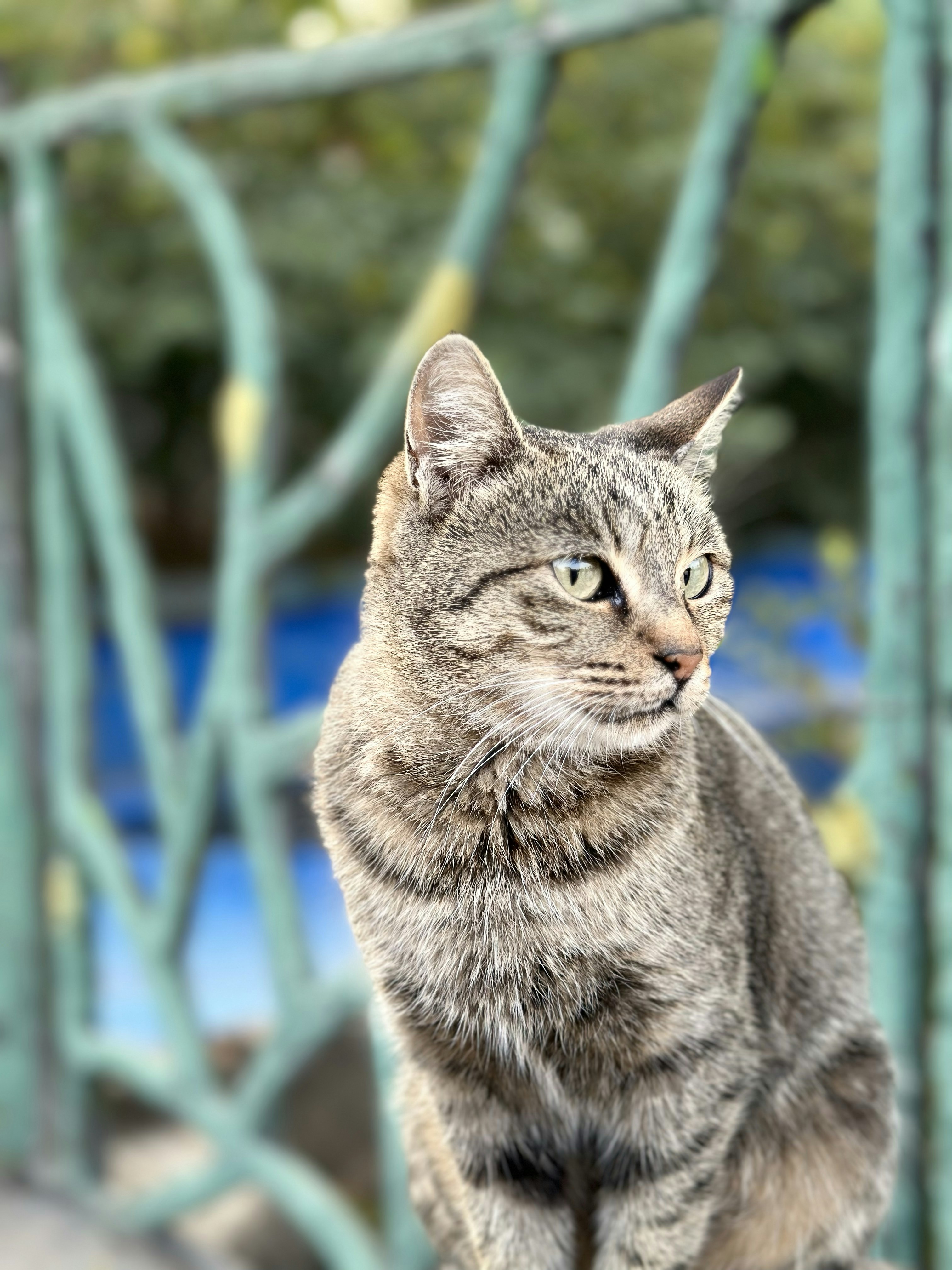 Photo by arefmehdipour