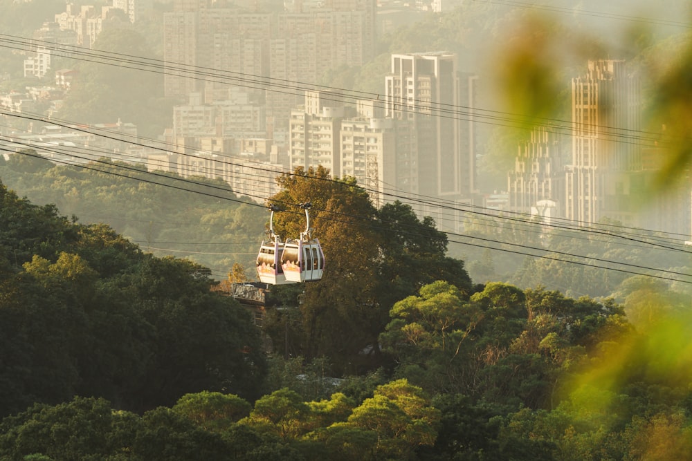 a couple of people riding a cable car over a lush green forest