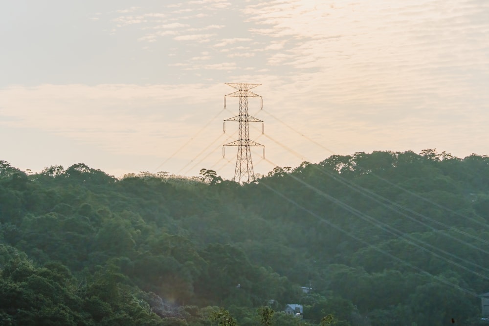 a power line in the middle of a forest