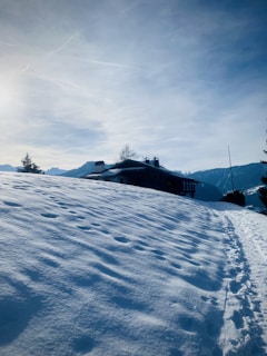A snowy landscape with a gentle slope leading to a cozy wooden cabin partially visible in the background. The sky is clear with a soft blue hue, indicating a sunny day. Footprints can be seen in the snow, creating a path up the hill. Sparse trees are visible, adding to the serene winter scene.