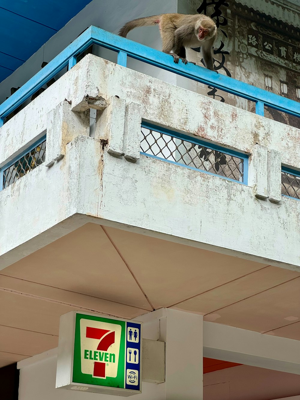 a monkey sitting on top of a building next to a 7 - eleven sign