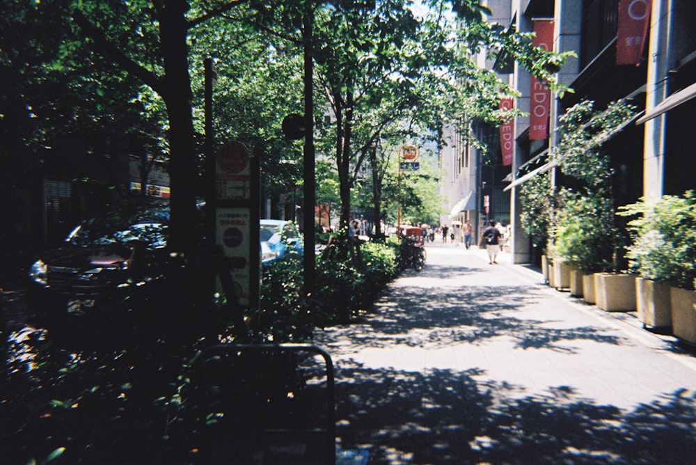 a narrow street with trees and people walking down it