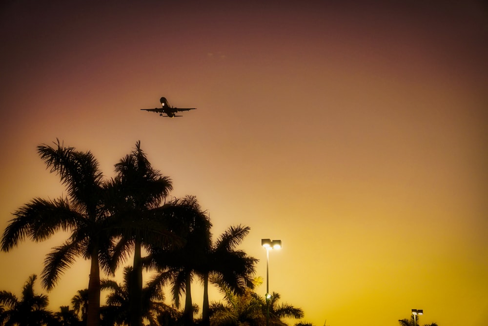 an airplane is flying over some palm trees